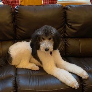 Meet your Posher, Mindy